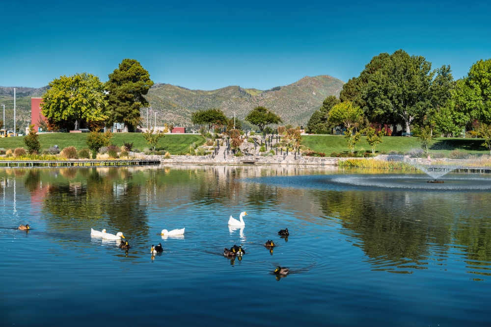 An image of a park pond with ducks in downtown Los Alamos, New Mexico. 