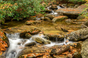 Wilson Creek Stream in Autumn, off the Blue Ridge Parkway - Tanawha trail