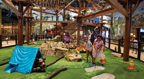 Great Wolf Lodge in Manteca, CA