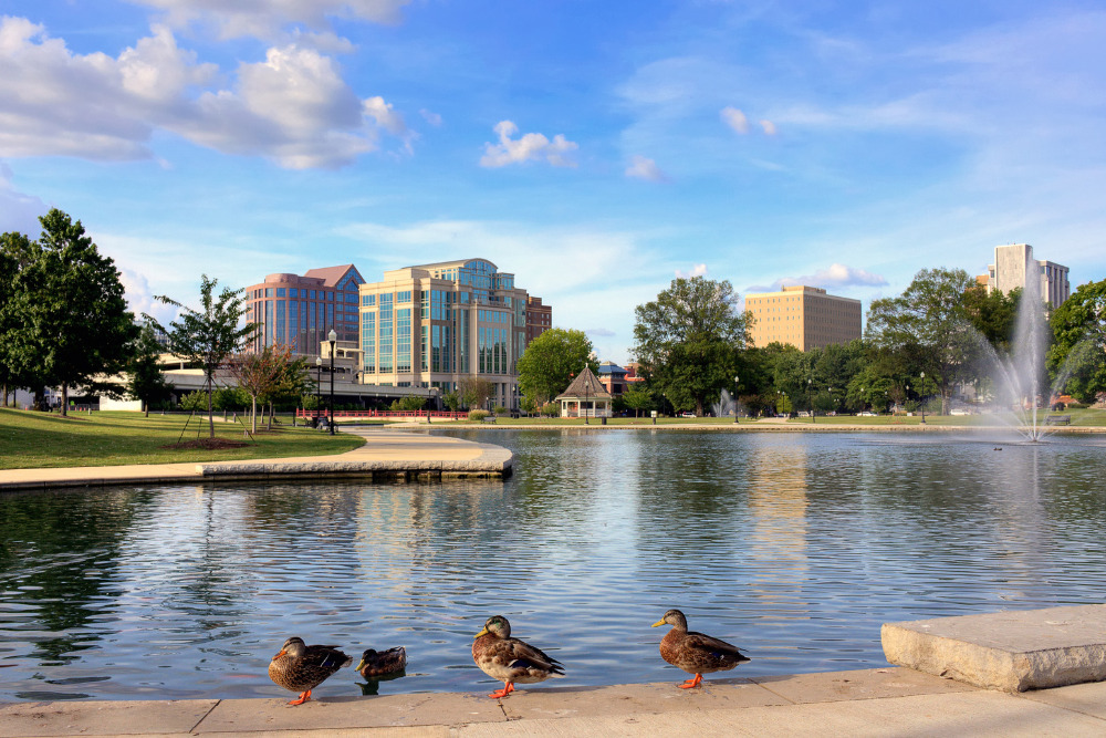 Ducks perch along a lake in a city park in downtown Huntsville, AL. Hunstville is a best place to live in Alabama.