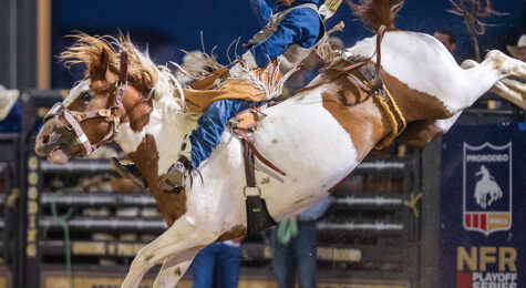Gooding Pro Rodeo in Southern Idaho