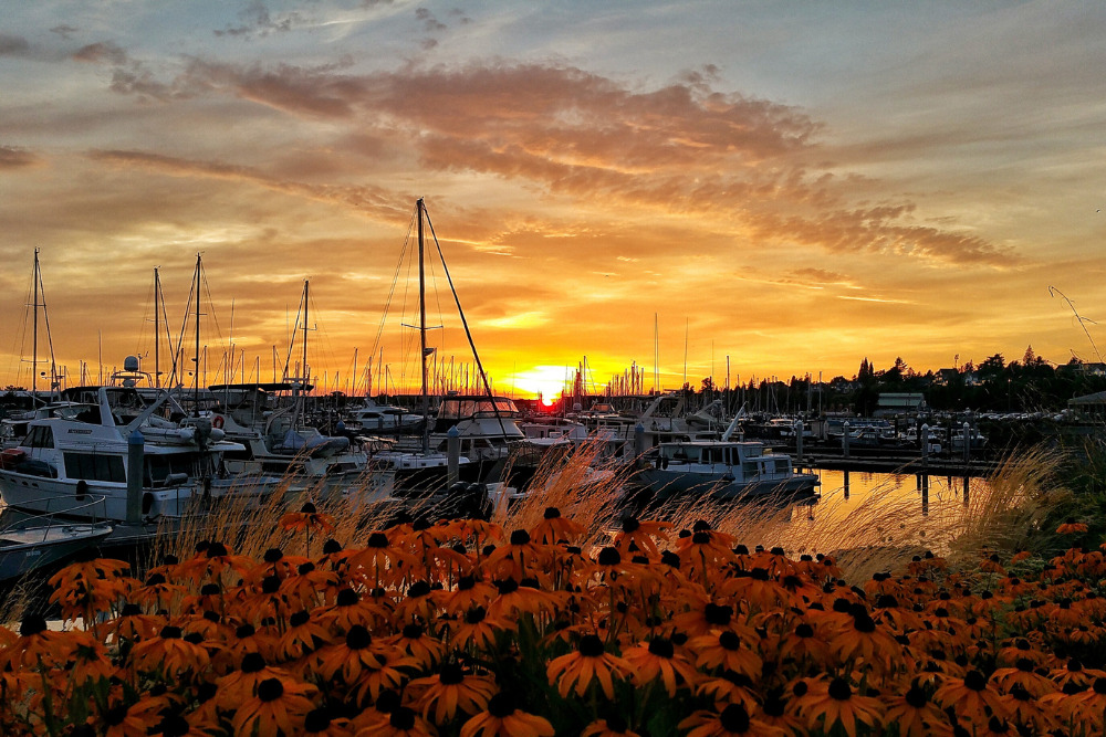 Late summer sunset over the Marina in Bellingham, WA. Bellingham is one of the best cities to live in Washington.