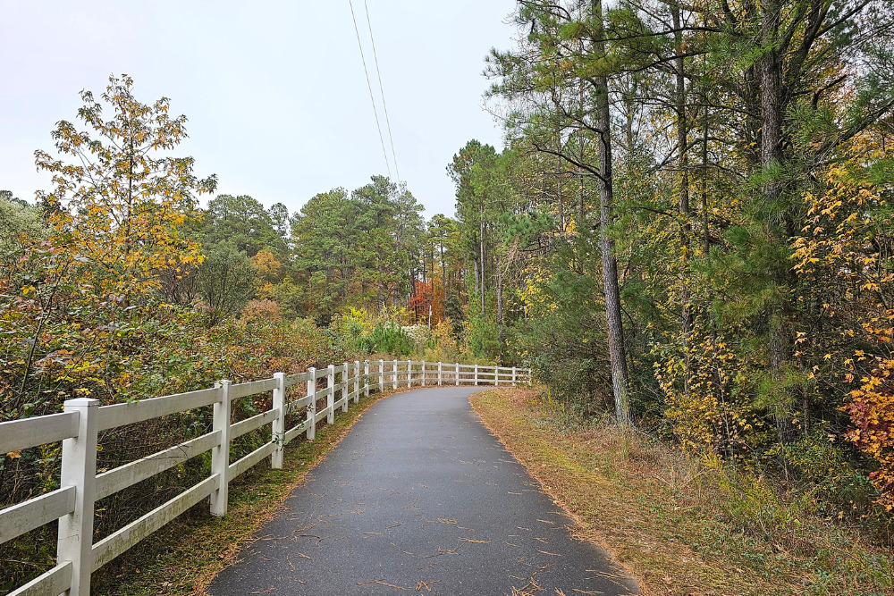 Neuse River Greenway at Horseshoe Farm Nature Preserve_photo by Cheryl Rodewig Raleigh NC