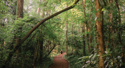 Running in Winston-Salem