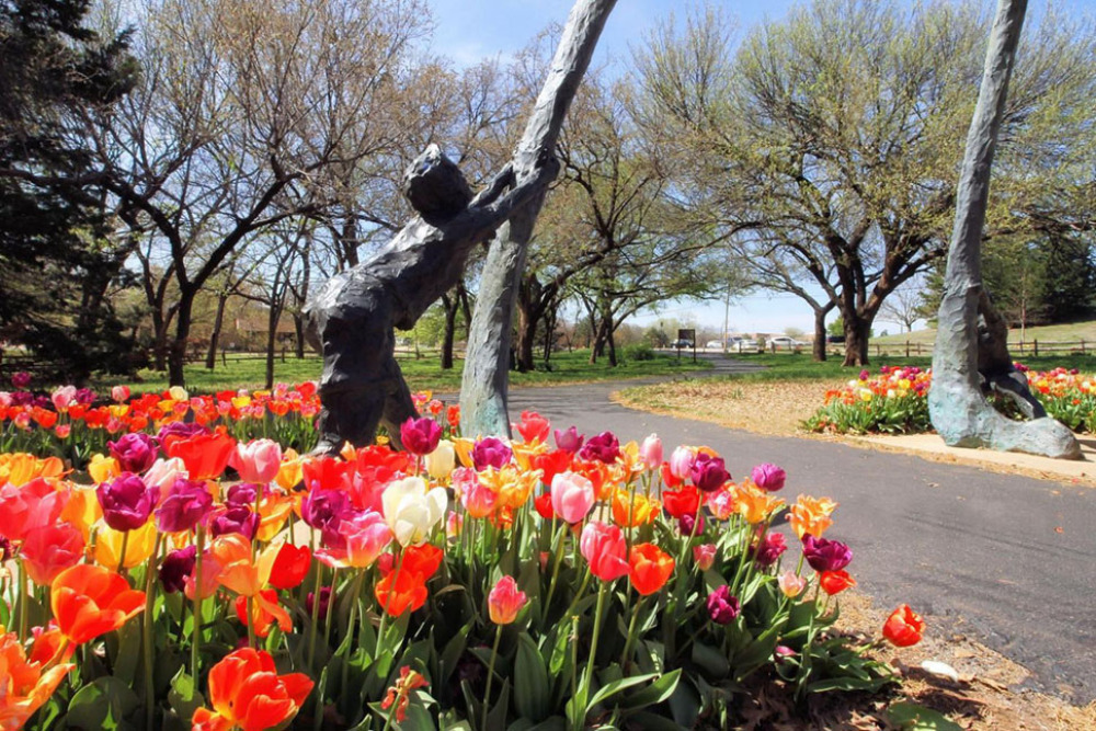 Colorful tulips surround a sculpture of a boy climbing a tree in Edmond, OK. Edmund is a best place to live in Oklahoma.