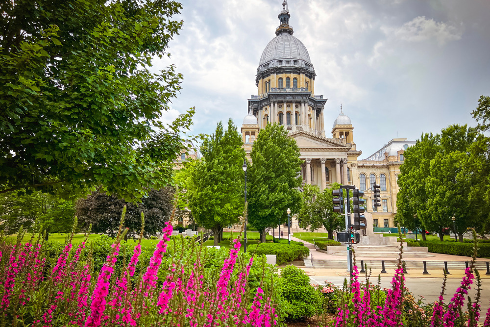 A views of the Illinois State Capitol Building in Springfield, IL, framed by colorful flower beds. Springfield is a great city to live in Illinois.