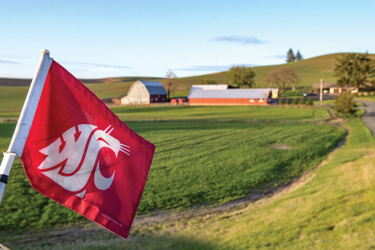 Coug Flag Palouse Farm in the Palouse region