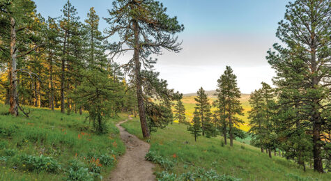 Enjoy great hiking in the Palouse region of Idaho and Washington.