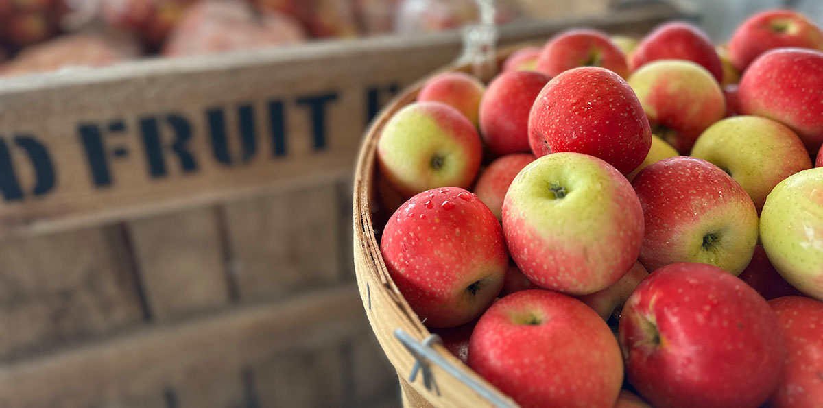 Fruit farm in Pataskala, Ohio