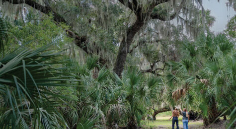 Alexander Island in the Greater Daytona region of Florida.