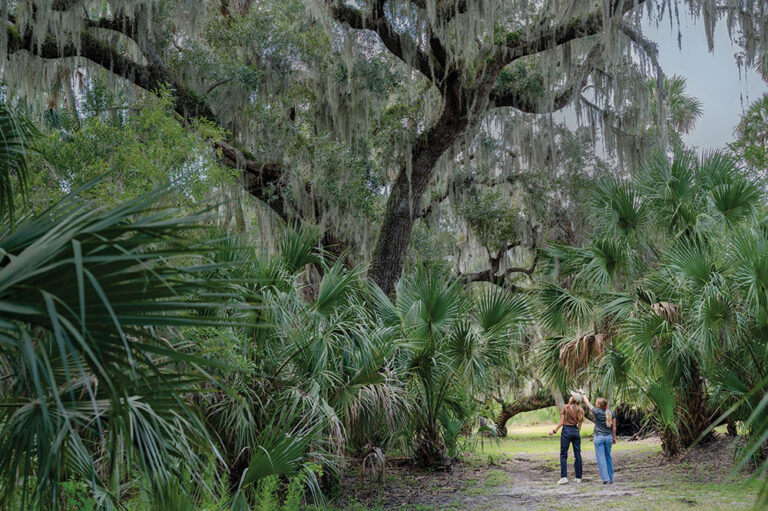 Alexander Island in the Greater Daytona region of Florida.