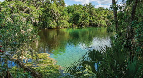 The stunning waterways of Greater Daytona offer so much to explore and see.