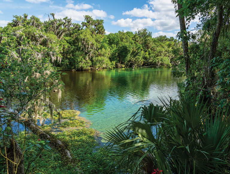 The stunning waterways of Greater Daytona offer so much to explore and see.