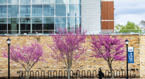 Middle Tennessee State University