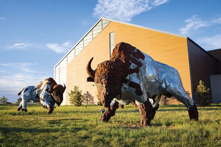 Bison sculpture in Commerce City, CO