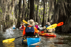Canoes Lafayette, LA