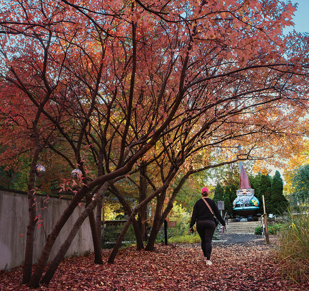 Explore the parks in Ames, IA