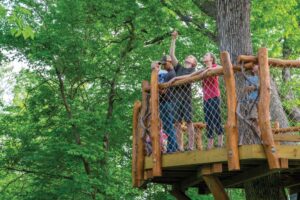 Iowa Arboretum and Gardens and Treehouse Village