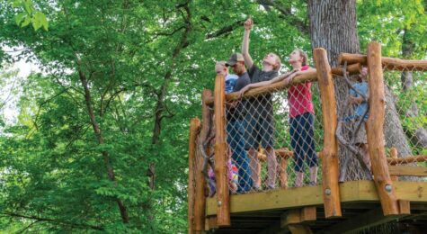 Iowa Arboretum and Gardens and Treehouse Village
