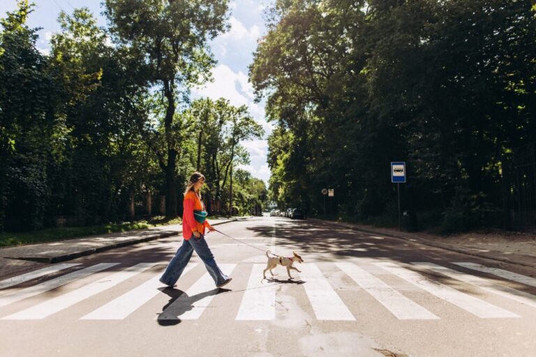 dog-friendly cities