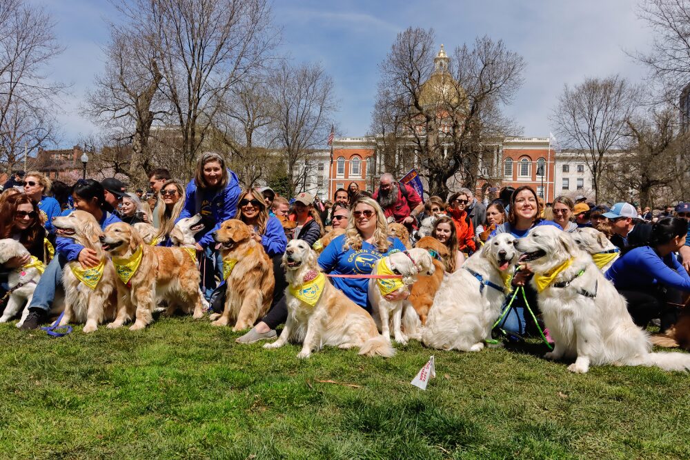 Vacation with your dog in Boston, MA