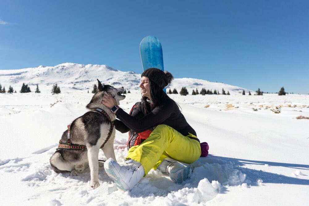 Anchorage, AK is a pet-friendly place.
