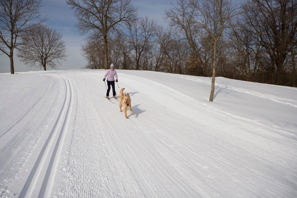 Vacation with your dog. in Minneapolis, MN.