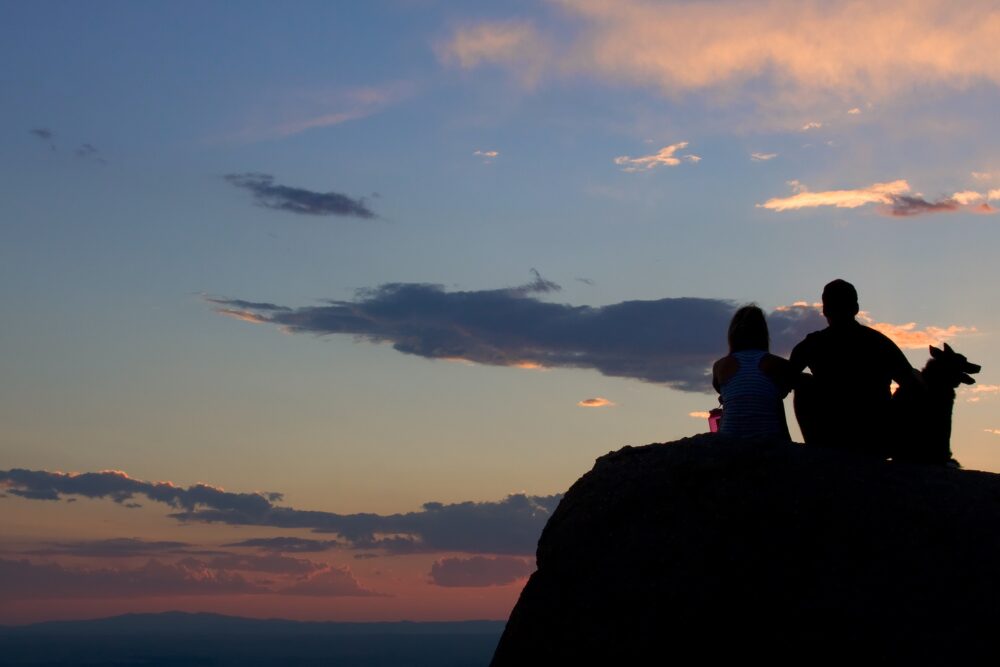 Vacation with your dog in New Mexico.