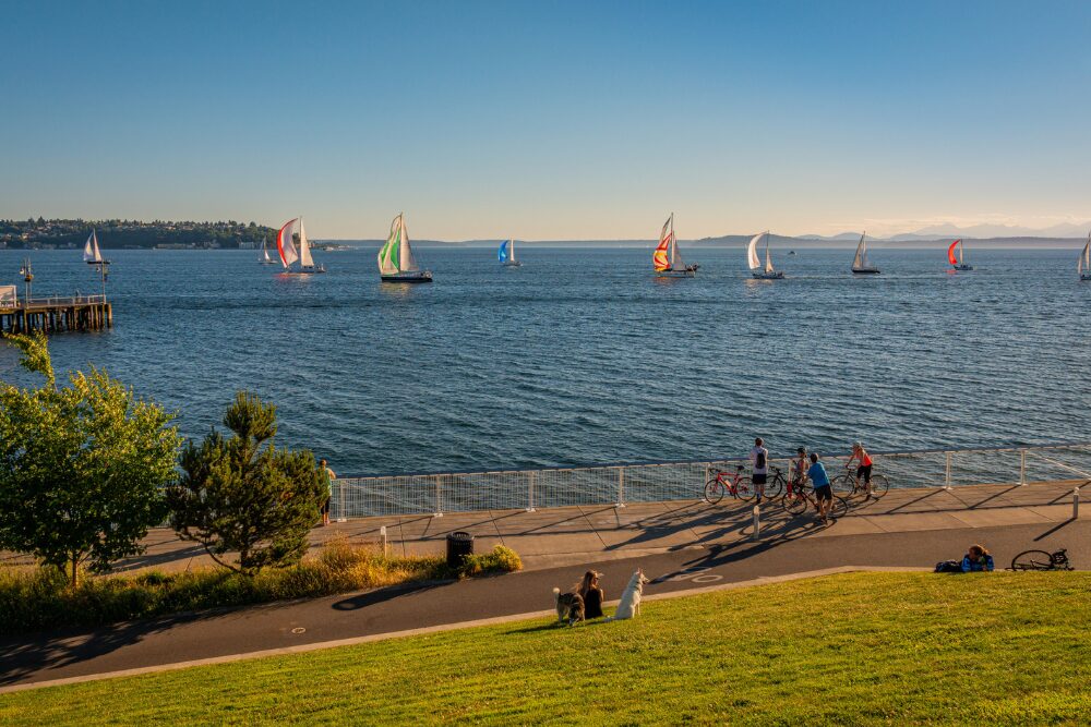 Seattle, WA is a pet-friendly place.