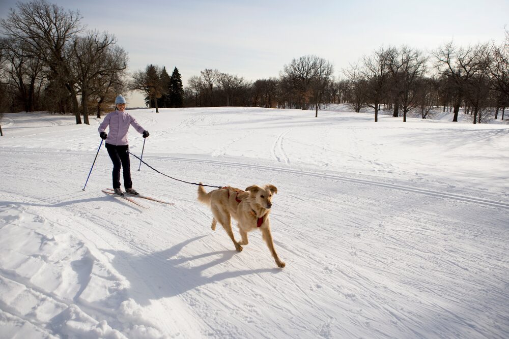 A woman skis behind her dog.