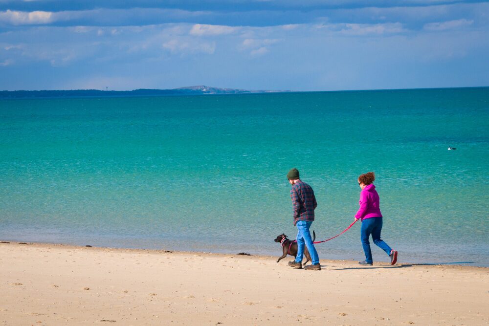 A couple walks a dog on a beach in Cape Cod, a dog-friendly destination.