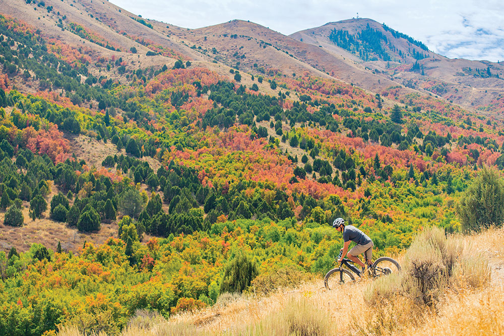 Mountain biking in Eastern Idaho is a great way to spend the day.