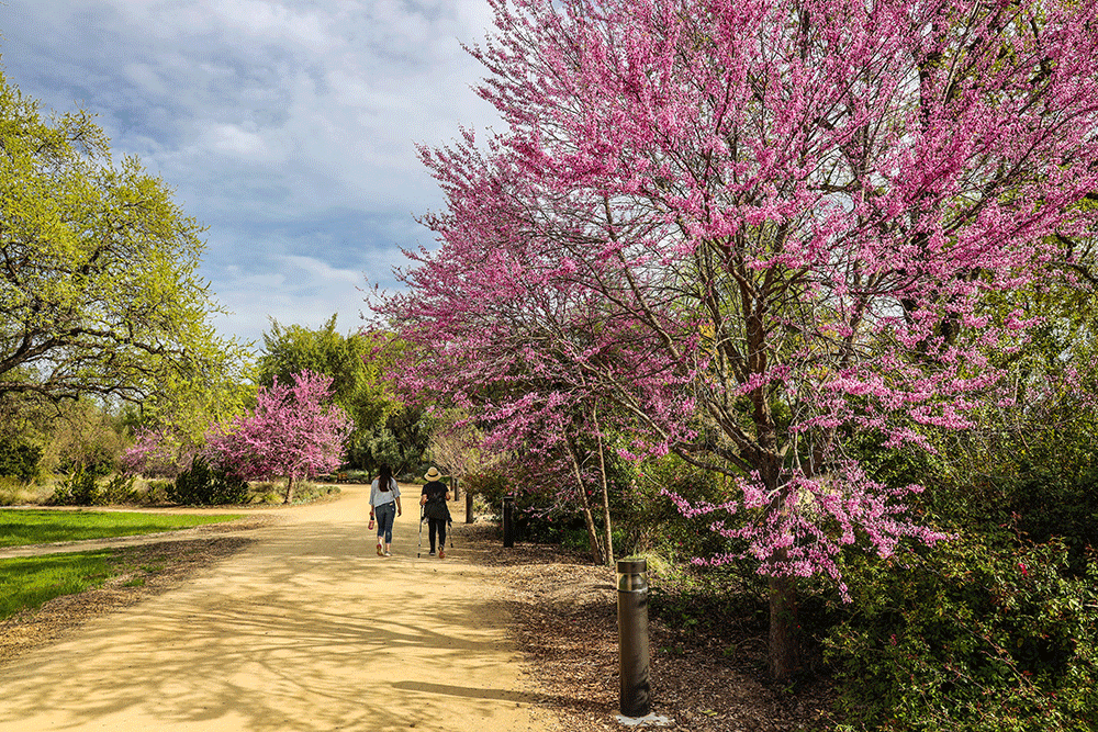 Botanical Gardens