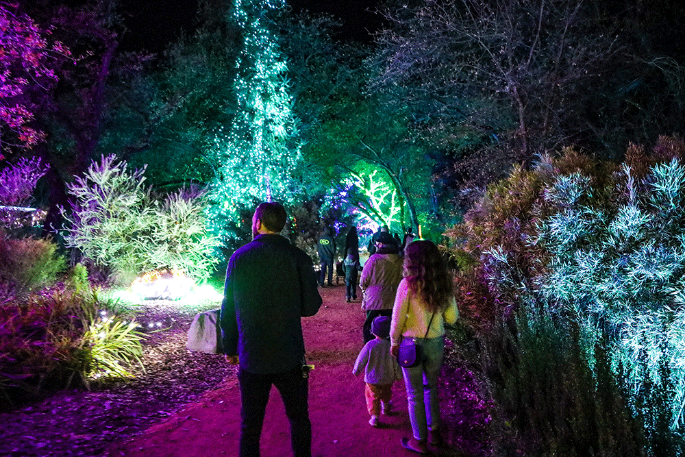 Garden of Lights in Redding CA