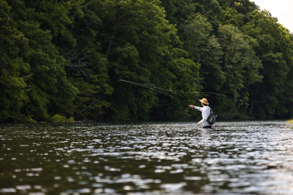 Watauga River