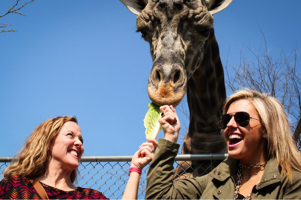 Nashville Zoo