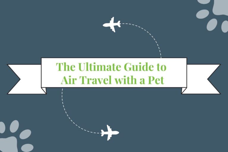 Flying with your furry friend? This comprehensive guide covers everything you need to know about pet air travel, including airline policies, costs, health requirements, and tips for a smooth journey.