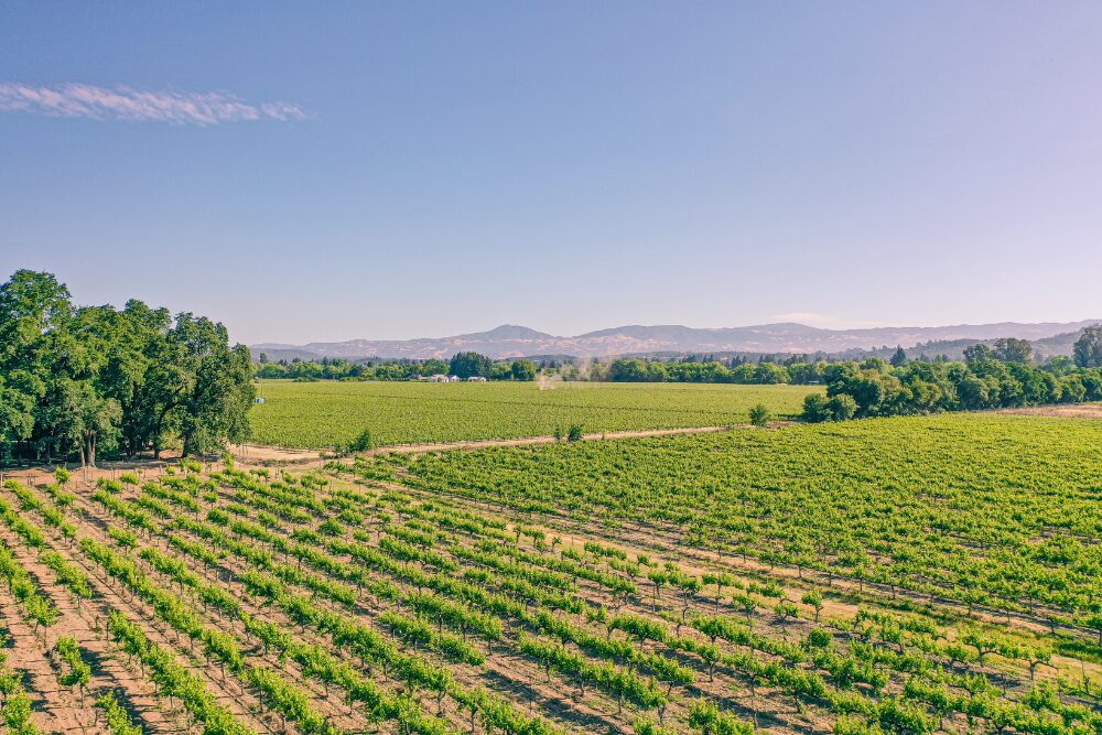 A view of the Jordan Vineyard and Winery in Healdsburg, CA.