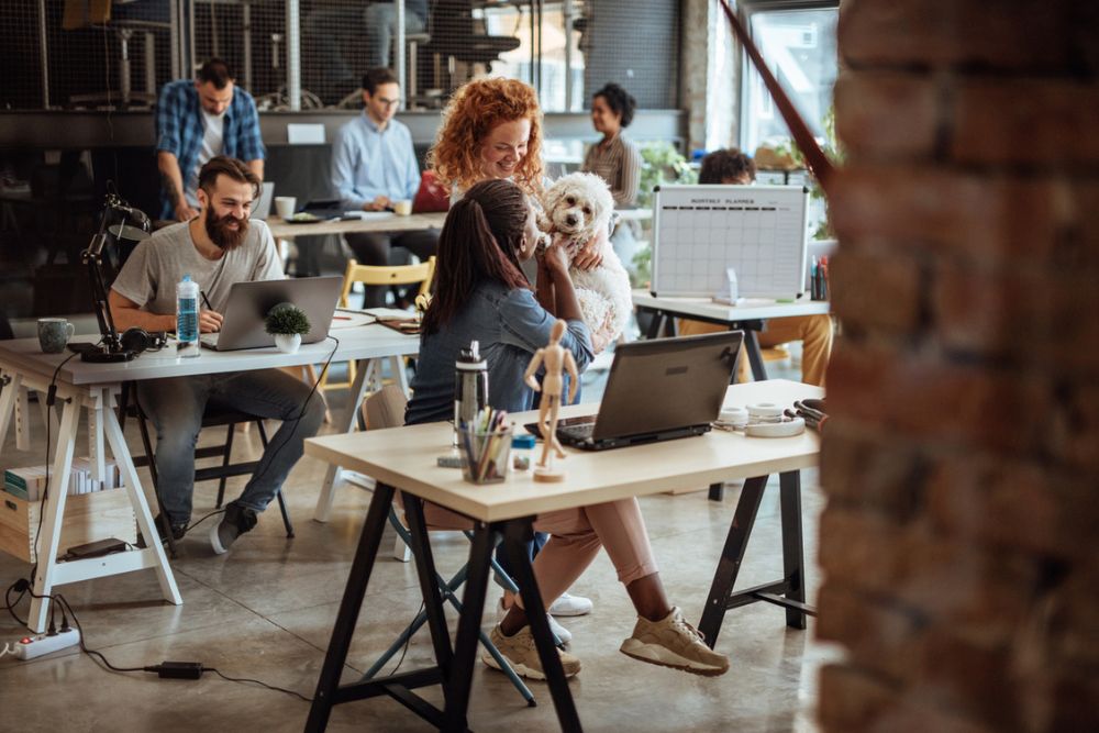Discover the advantages of creating a pet-friendly workplace. From increased employee satisfaction and retention to improved collaboration and mindfulness, learn how pets can positively impact your company culture. Stock photo ID:1160963494