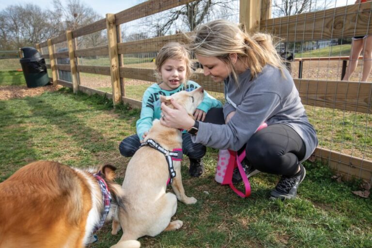The BETTER CITIES FOR PETS™ program can help your city become more pet-friendly, attracting new residents, supporting businesses and improving the lives of people and their pets.