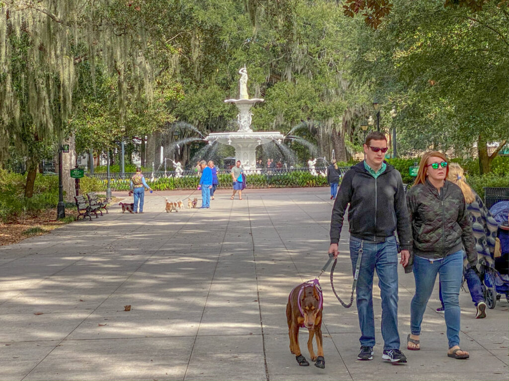 Georgia is one of the best states for dogs.