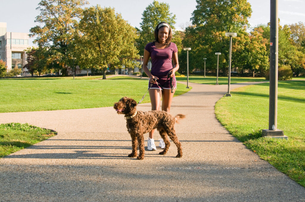 Bloomington is a pet-friendly city in Indiana.