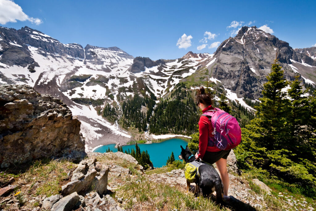 Colorado is one of the best states for dogs.