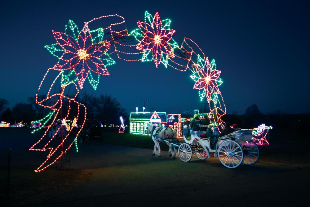 Visitors view the lights by horse and carriage at Folepi's Winter Wonderland in Tazewell County, Illinois. ©Journal Communications/Jeff Adkins