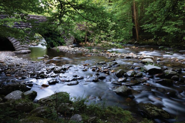The Little River runs through Elkmont Campground at Great Smoky Mountains National Park.