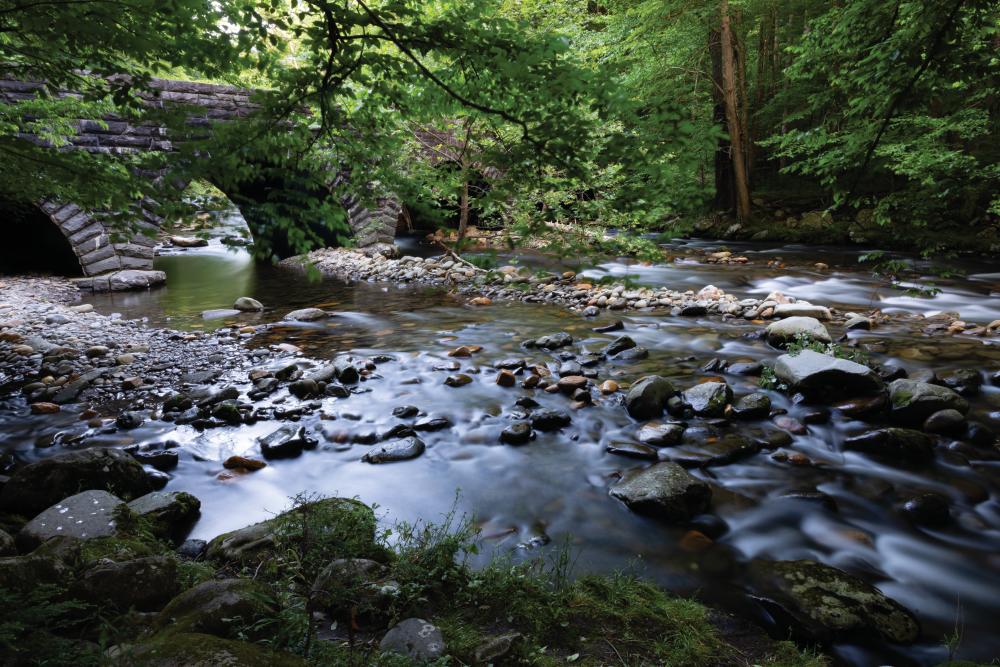 The Little River runs through Elkmont Campground at Great Smoky Mountains National Park.