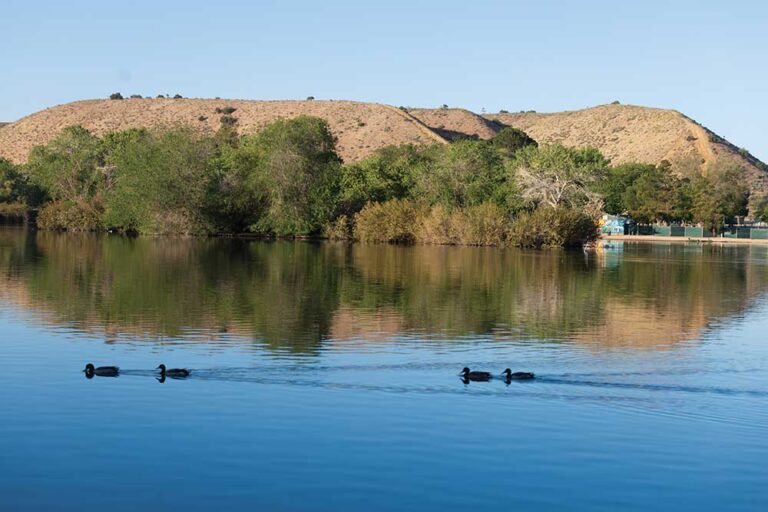 Ducks swim in the water at Hesperia Lake Park in Hesparia, California.