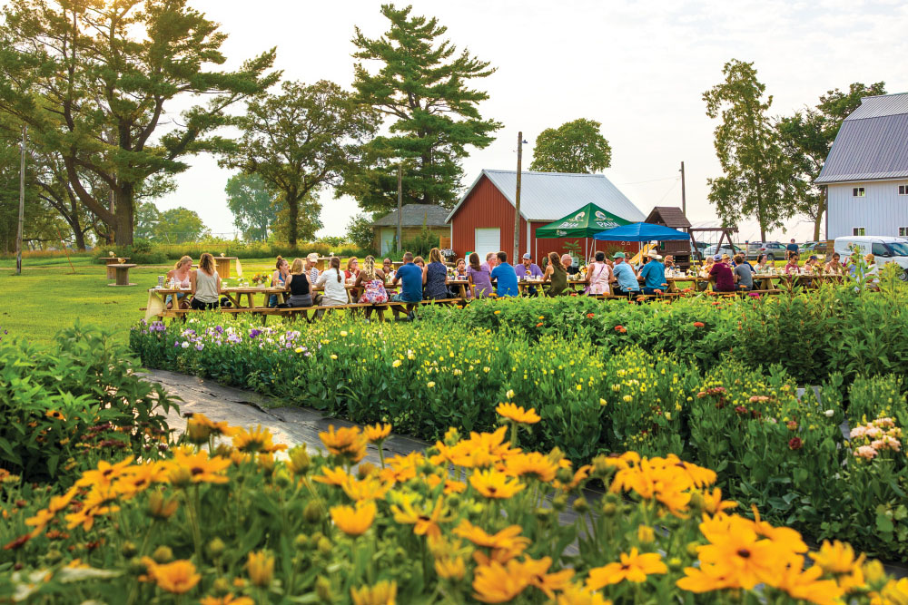 Agritourism at Engelbrecht Farm in the Cedar Valley, IA