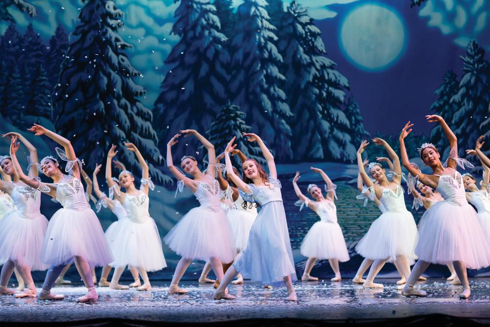 Appalachian Ballet Company is located in Maryville, TN.