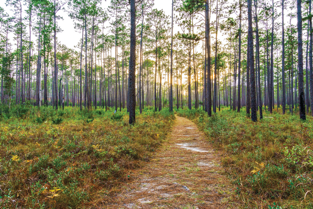 Blackwater River State Park